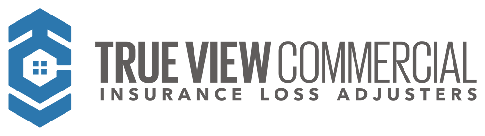 True View Commercial Logo